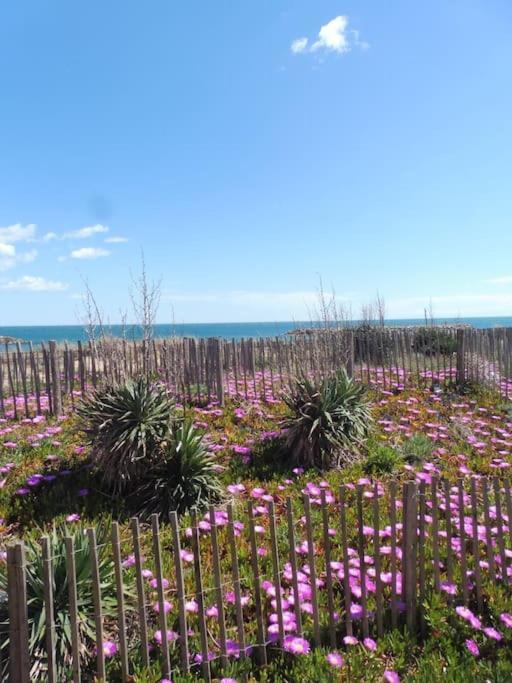Le Petit Coin De Paradis. Valras-Plage Kültér fotó